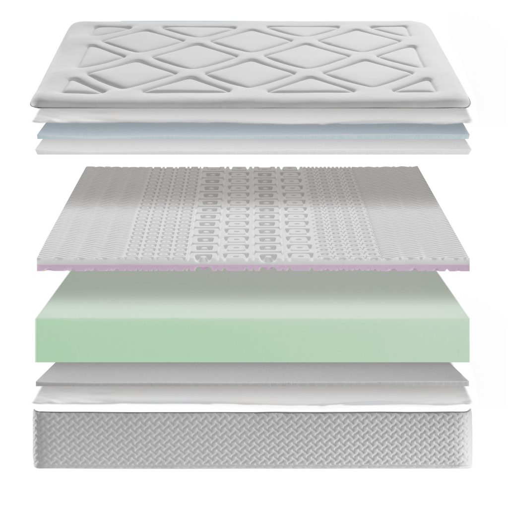 11. ECUS -SENSIS VITALIS 2- (2)